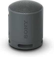 Sony SRS-XB100 Portable Speaker